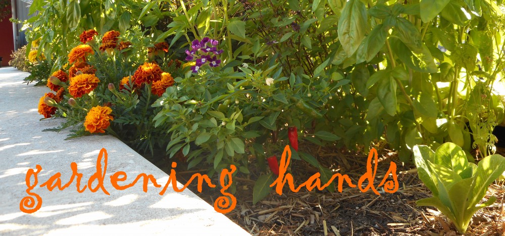 gardening hands